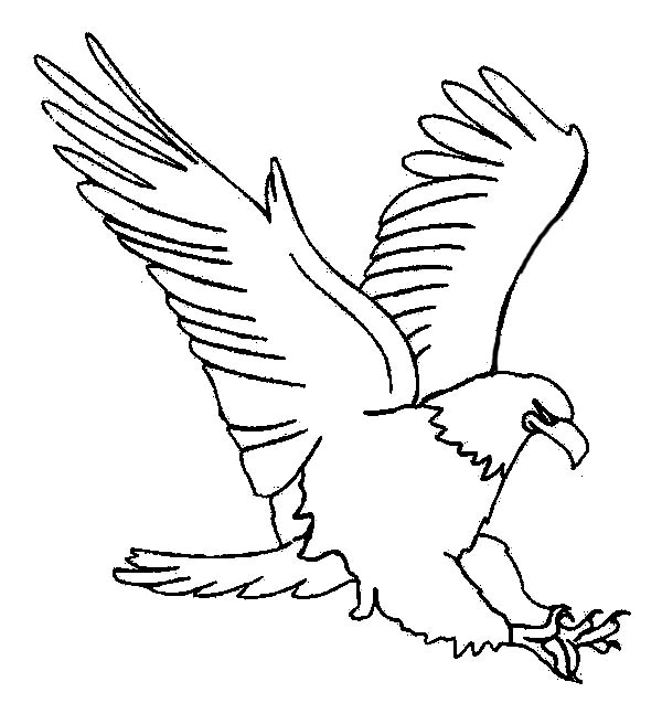 eagle holding a fish coloring pages - photo #42