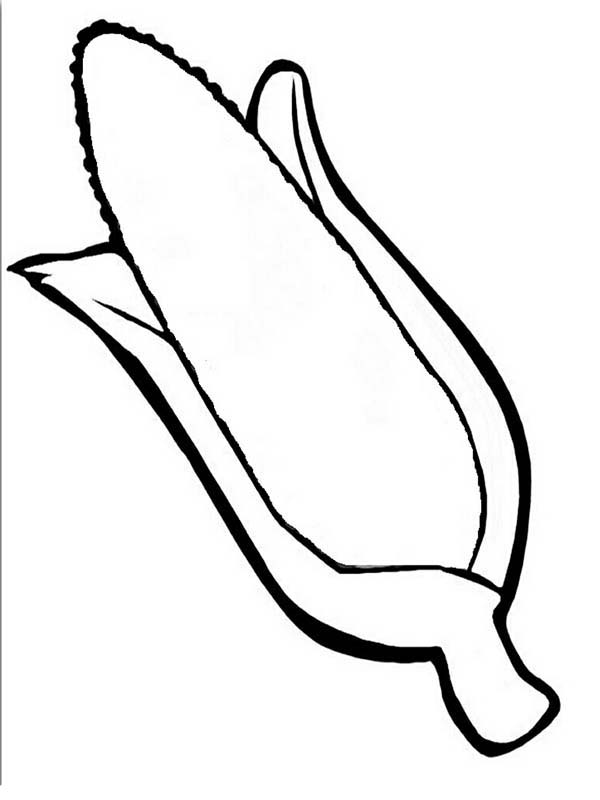 preschool thanksgiving coloring pages corn - photo #31