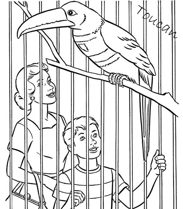 zoo map coloring pages - photo #14