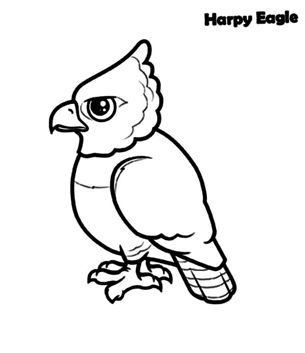 baby eagle coloring pages - photo #7