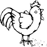Chicken, Alpha Male Chicken Is So Dirty Coloring Page: Alpha Male Chicken is so Dirty Coloring Page