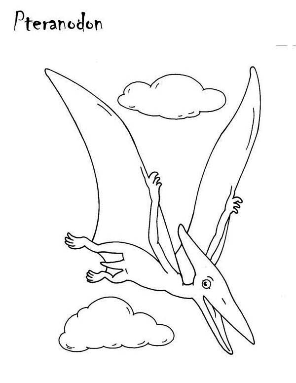 Pteranodon, : Awesome Picture of Pteranodon Coloring Page