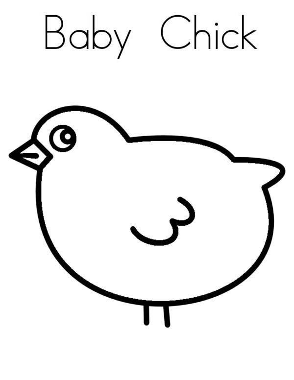 Chicken, : Baby Chicken Coloring Page