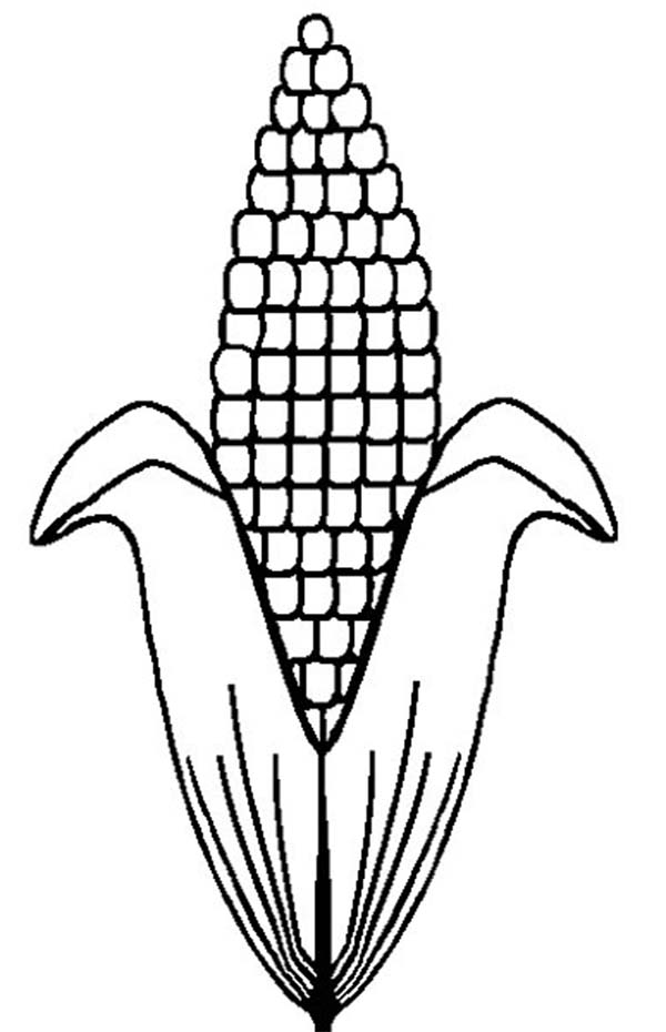 Corn, : C is for Corn Cob Coloring Page