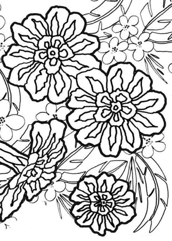 Carnation Flower, : Carnation Flower Bouquet Coloring Page