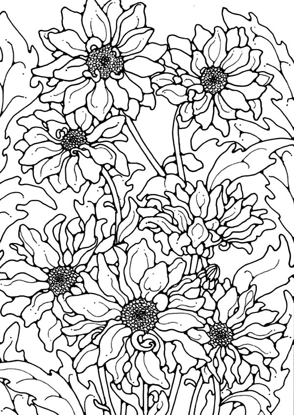 Chrysanthemum, : Chrysanthemum for the Love One Coloring Page