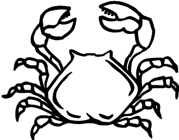 Crab, : Crab is Delicious Animal to Eat Coloring Page