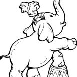 Circus, Cute Little Elephant Circus Coloring Page: Cute Little Elephant Circus Coloring Page