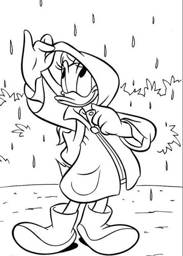 Daisy Duck, : Daisy Duck Wearing Rain Coat on Rainy Day Coloring Page