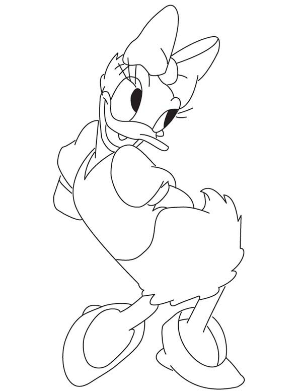 Daisy Duck, : Daisy Duck is Shy Coloring Page