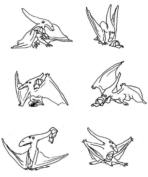 Pteranodon, : Drawing of Pteranodon Coloring Page