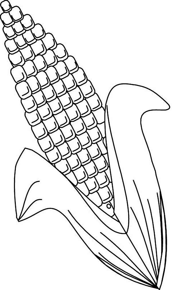 Corn, : Ear of Corn Coloring Page