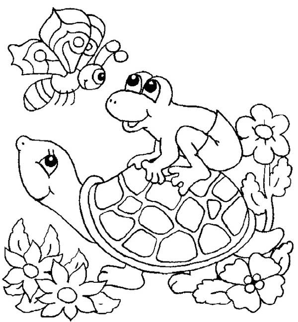 Turtle, : Frog Jump Up to Turtle Shell Coloring Page