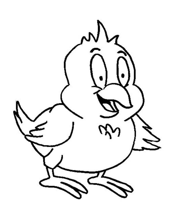 Chicken, : Happy Baby Chicken Coloring Page
