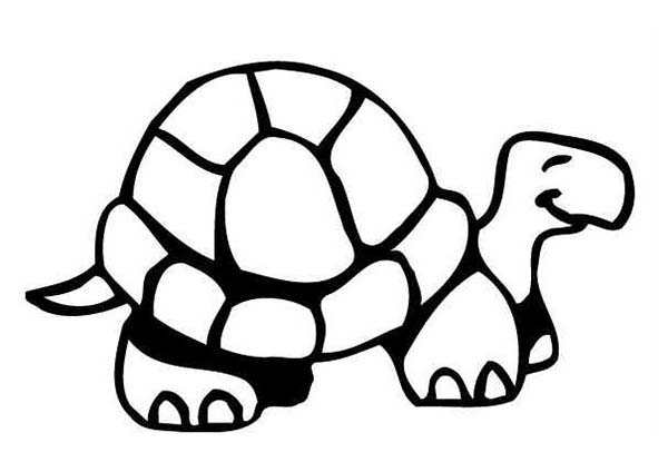 Turtle, : Happy Turtle is Smiling Coloring Page