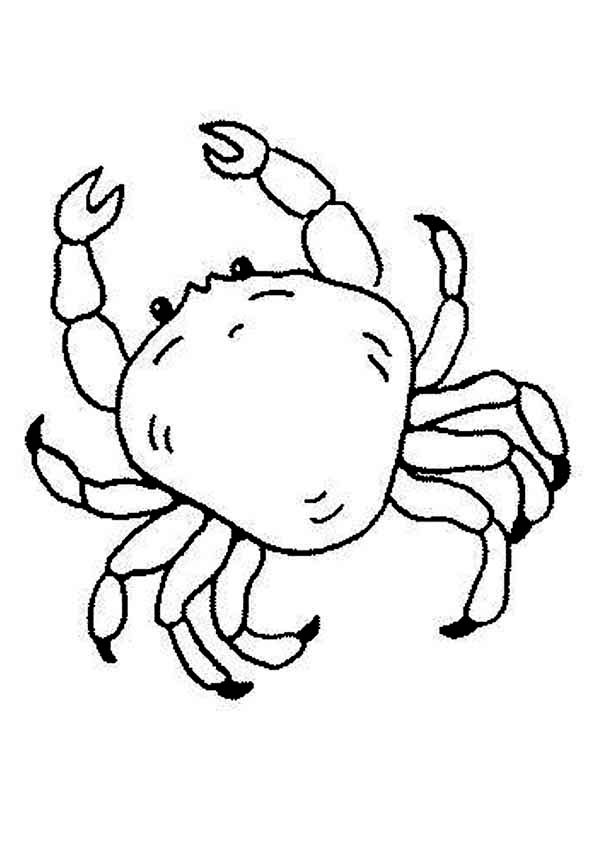 Crab, : How to Draw Crab Coloring Page