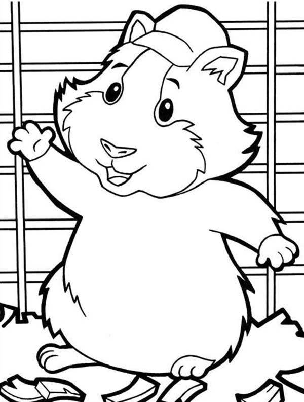 The Wonder Pets, : Linny from in Wonder Pets Coloring Page