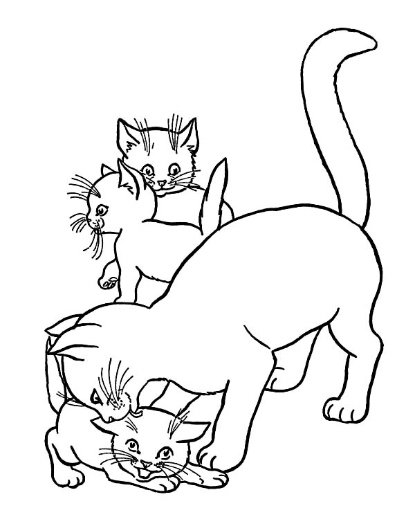 Cat, : Mother Cat Licking Her Kitten Head Coloring Page