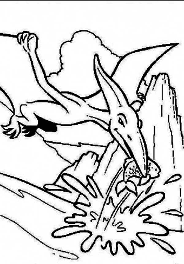 Pteranodon, : Pteranodon Catching Fish Coloring Page