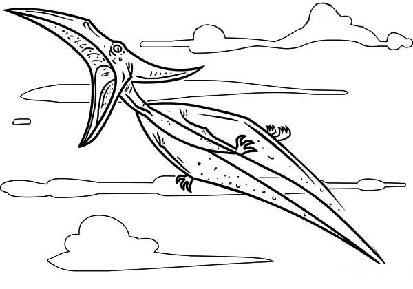 Pteranodon, : Pteranodon Open Mouth Wide Coloring Page