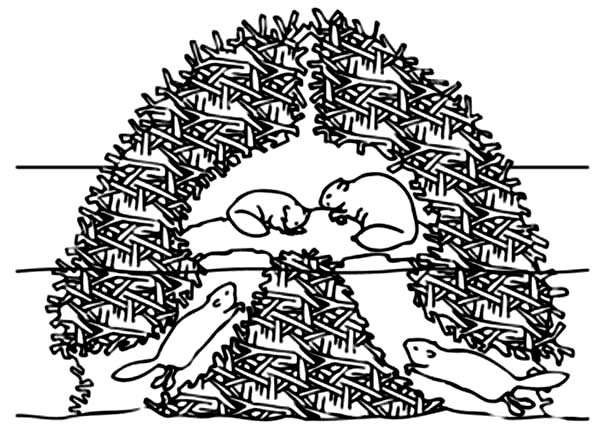 Beaver, : Slug Beaver Nest Coloring Page