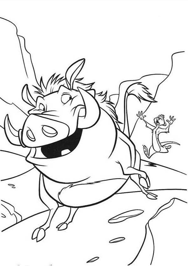 Timon and Pumbaa, : Timon and Pumbaa Running Very Fast Coloring Page