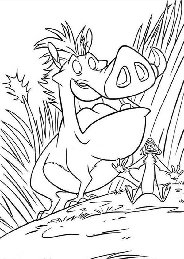 Timon and Pumbaa, : Timon and Pumbaa is so Surprised Coloring Page