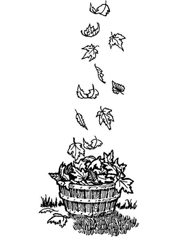 Autumn, : Wooden Bucket Full of Autumn Leaf Coloring Page