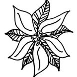 Poinsettia Day, Drawing Of Poinsettia For Poinsettia Day Coloring Page: Drawing of Poinsettia for Poinsettia Day Coloring Page