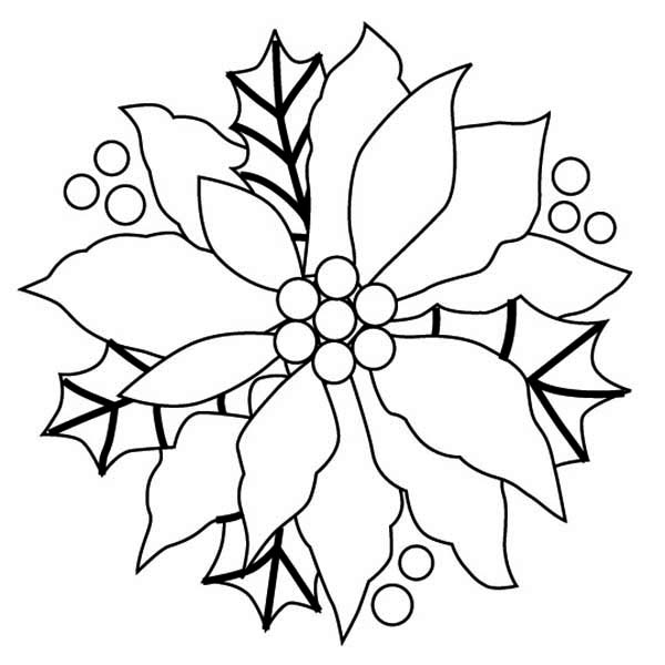 Poinsettia Day, : Gorgeous Sketch of Poinsettia for Poinsettia Day Coloring Page