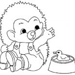 Hedgehog, Baby Hedgehog Be Friend With Duckling Coloring Pages: Baby Hedgehog be Friend with Duckling Coloring Pages