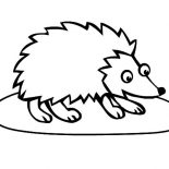 Hedgehog, Big Eyed Hedgehog Coloring Pages: Big Eyed Hedgehog Coloring Pages