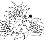 Hedgehog, Floral Hedgehog Coloring Pages: Floral Hedgehog Coloring Pages