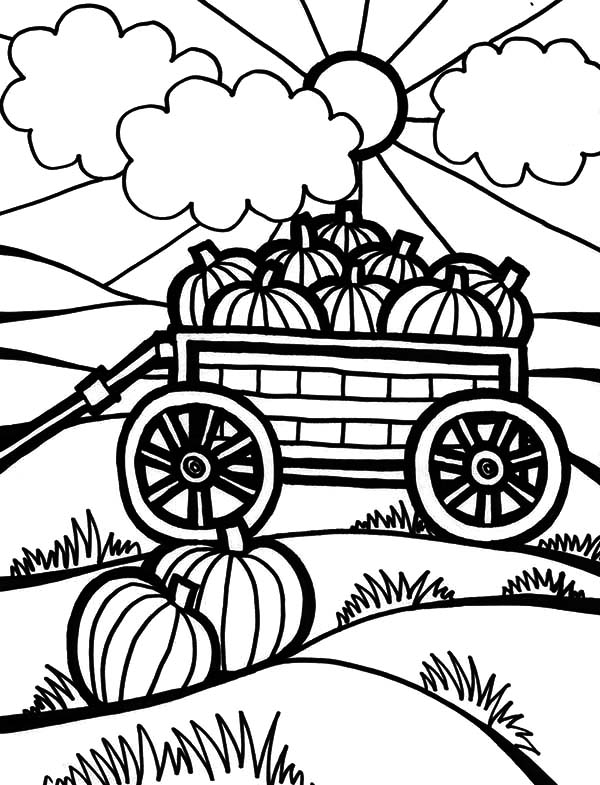 Harvests, : Harvests Pumpkins on Carriage Coloring Pages