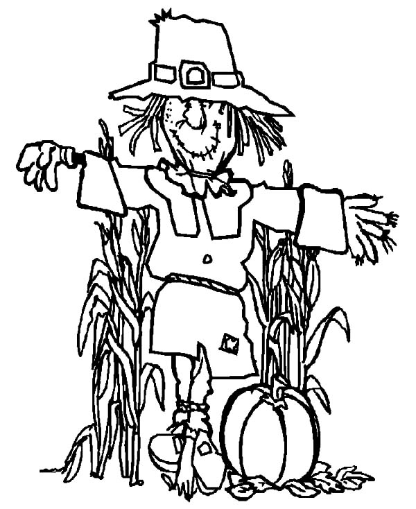 Harvests, : Harvests Scarecrow Pumpkin Coloring Pages
