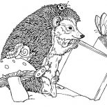 Hedgehog, Hedgehog Read A Book With Butterfly Coloring Pages: Hedgehog Read a Book with Butterfly Coloring Pages