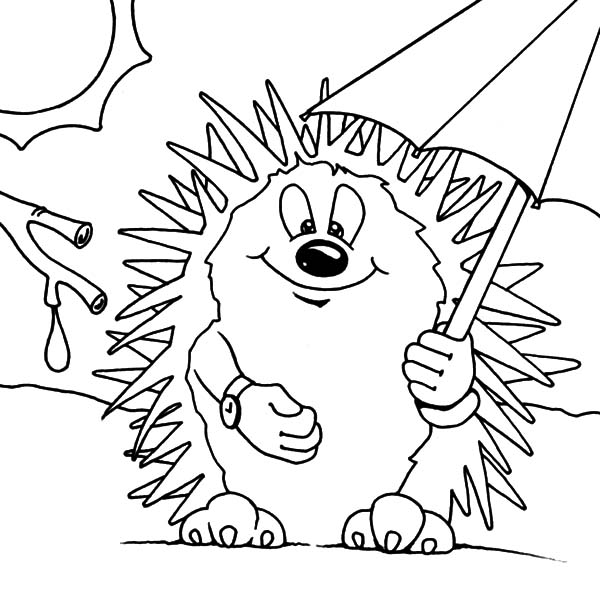 Hedgehog, : Hedgehog Take Cover Under Umbrella Coloring Pages