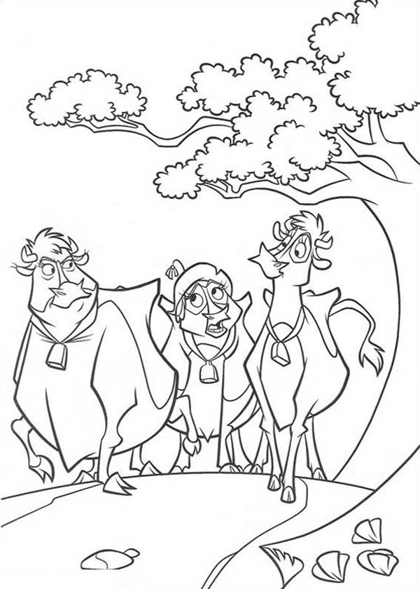 Home On The Prairie, : Home on the Prairie Cows Walking Together Coloring Pages