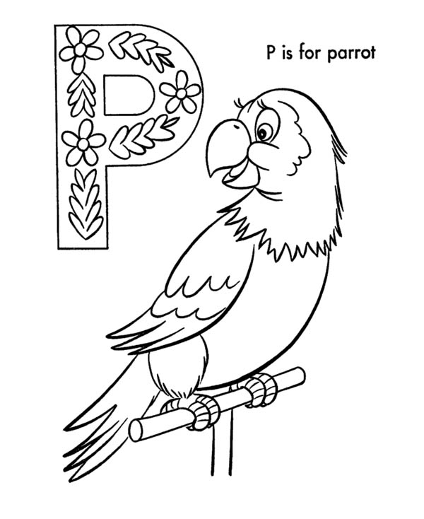 Letter p, : Letter P is for Parrot Coloring Page