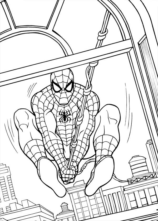 Spiderman, : Spiderman Swinging Through Window Coloring Page