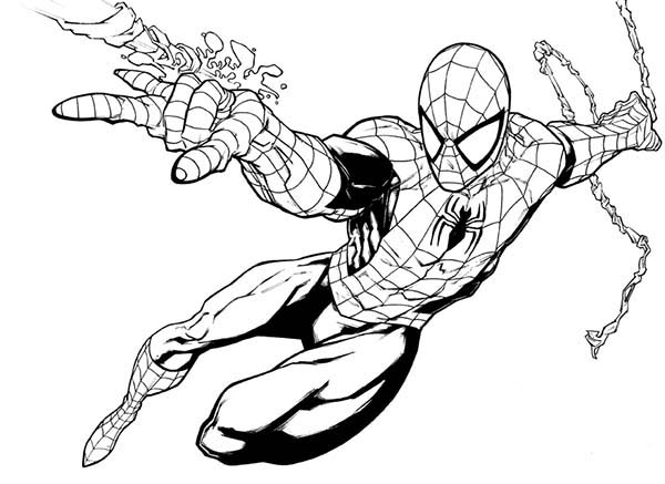 Spiderman, : Spiderman is Awesome Hero Coloring Page